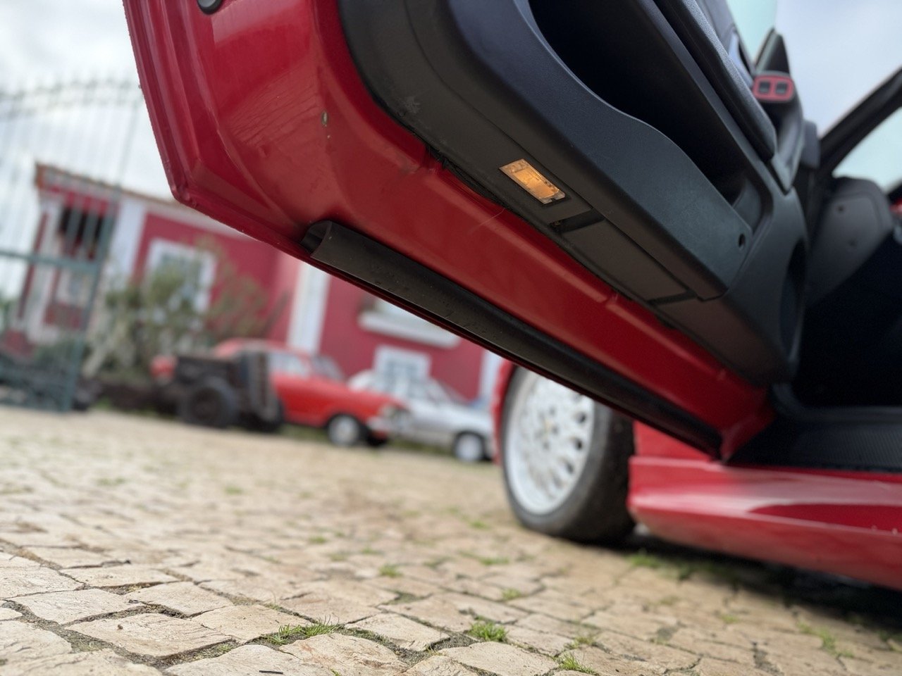 IMG_2245 – grande.jpeg