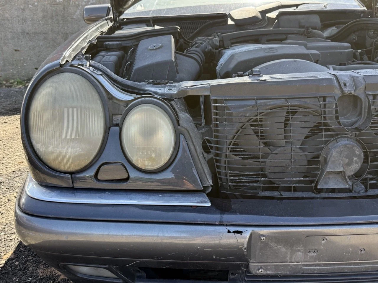 IMG_1787 – grande.jpeg