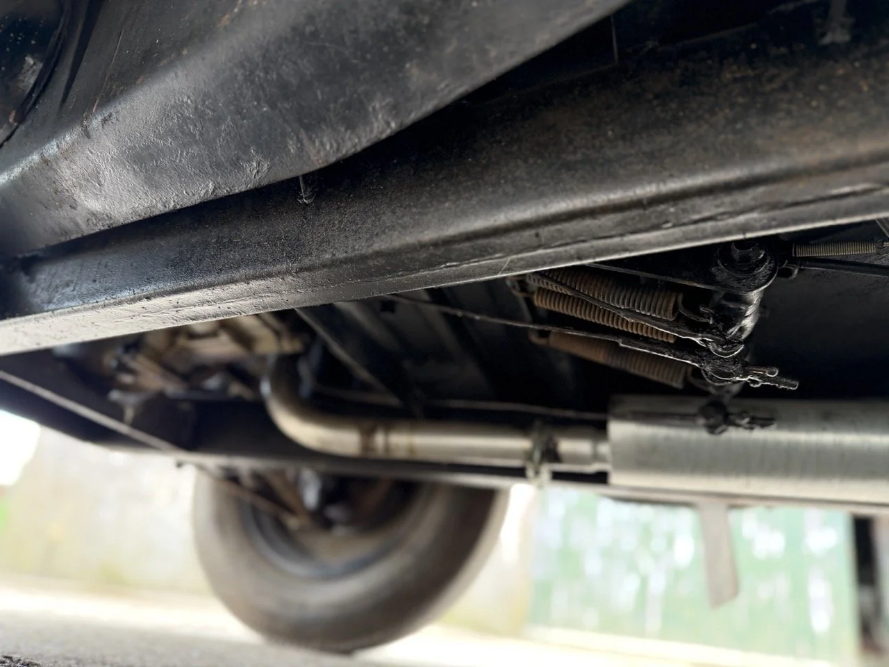 IMG_1491 – grande.jpeg