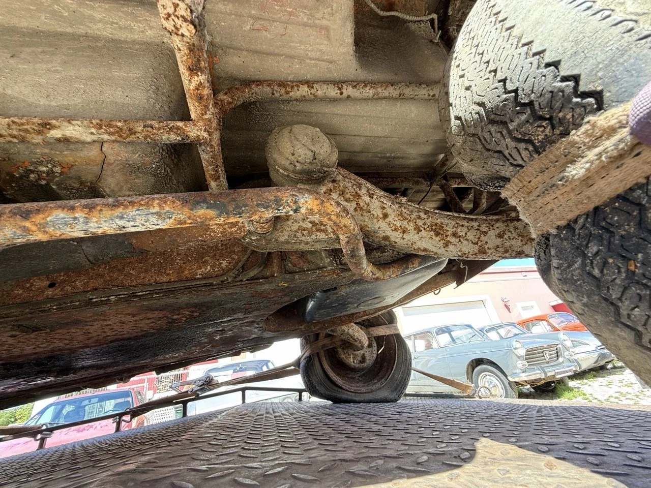 IMG_9057 – grande.jpeg