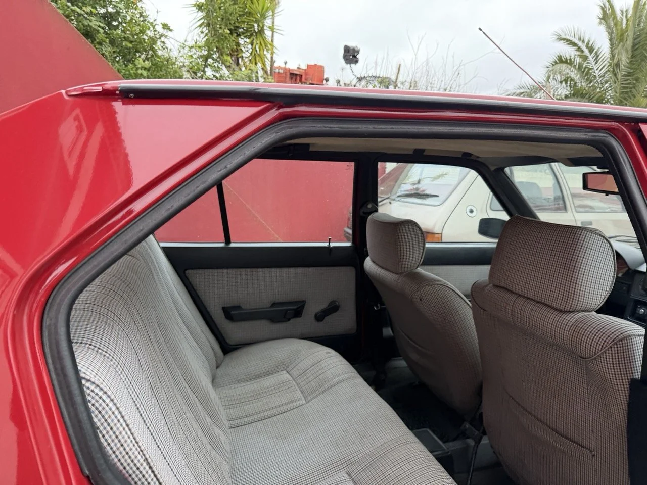 IMG_3458 – grande.jpeg