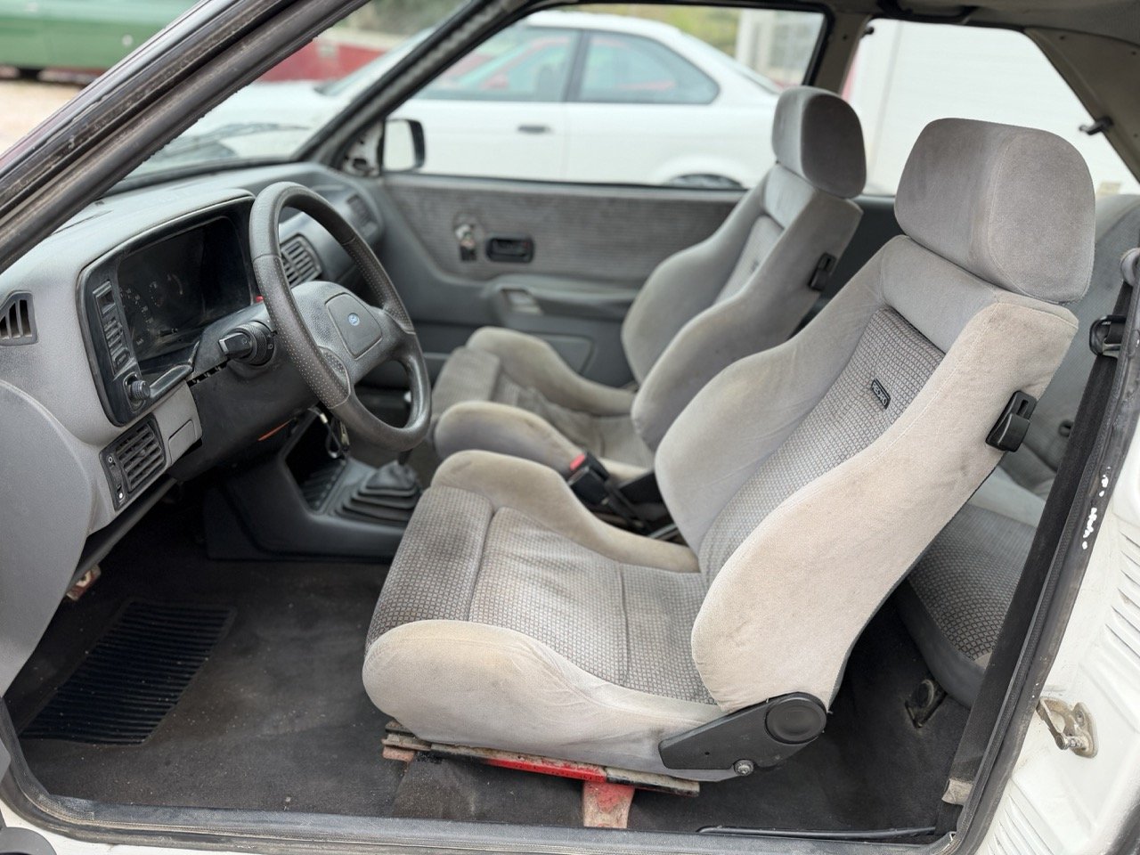 IMG_1264 – grande.jpeg