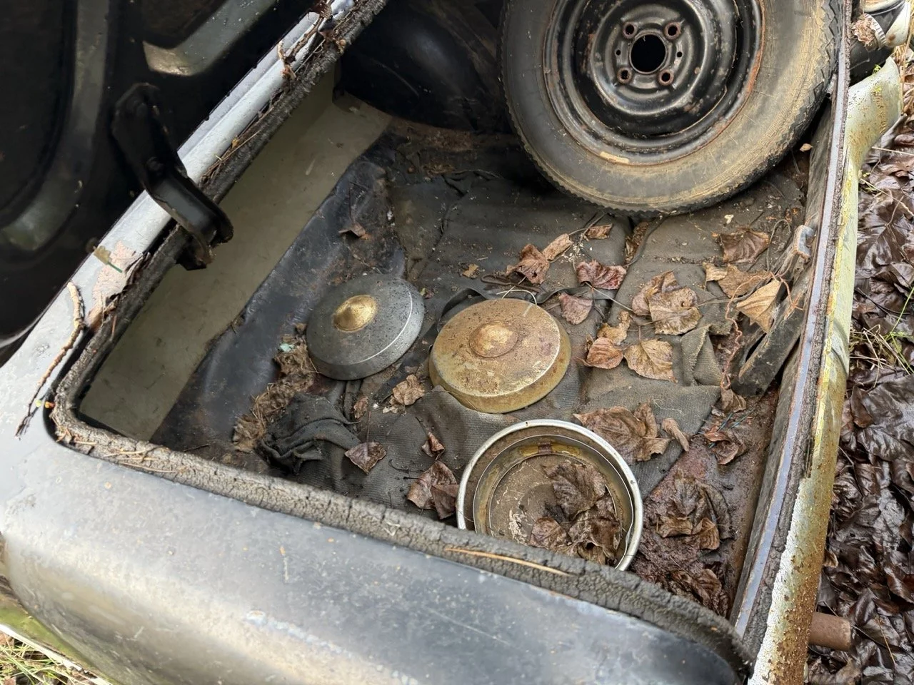 IMG_5077 – grande.jpeg