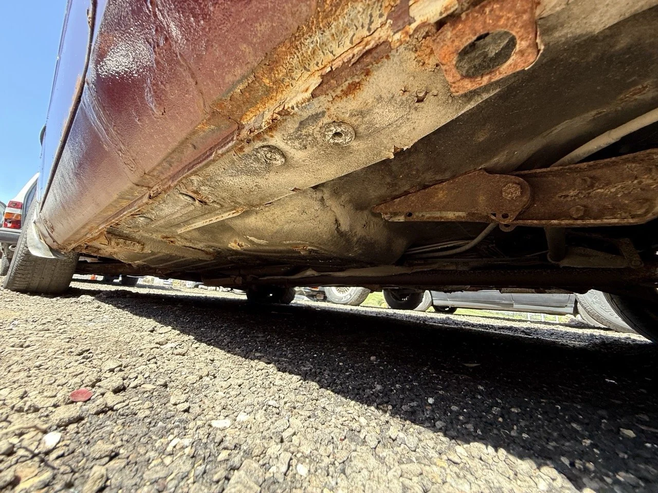 IMG_0965 – grande.jpeg