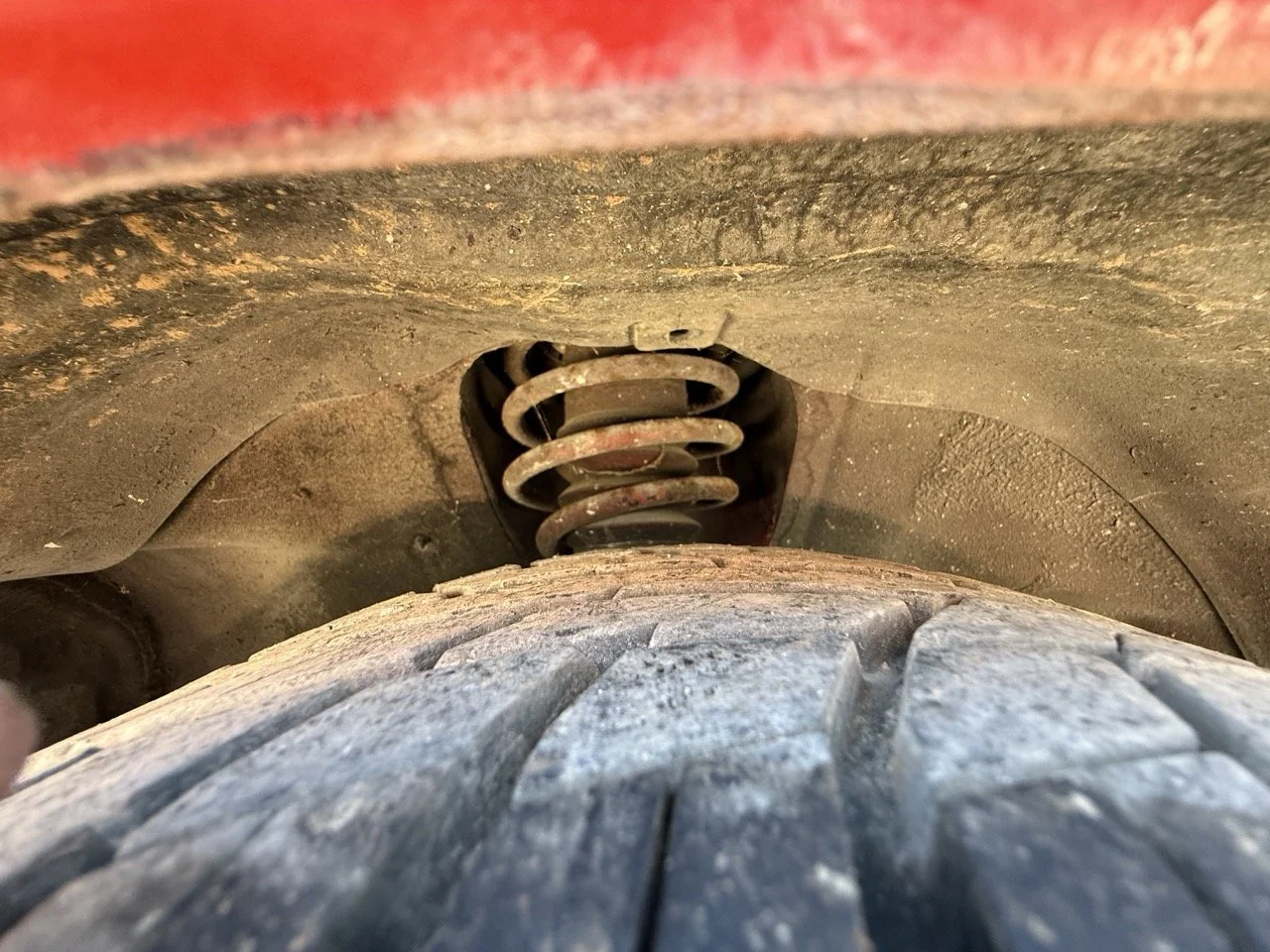 IMG_2122 – grande.jpeg