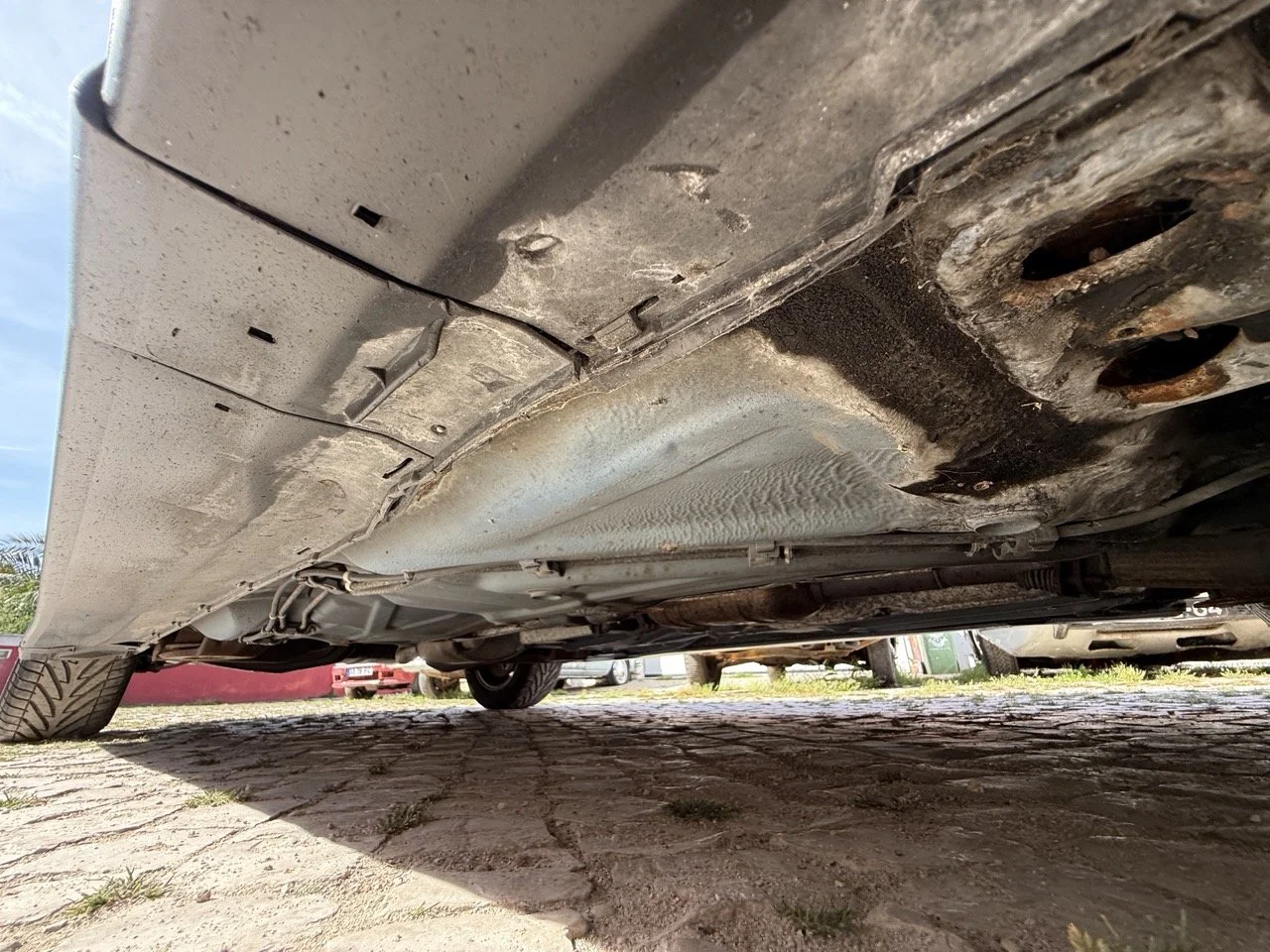 IMG_2517 – grande.jpeg