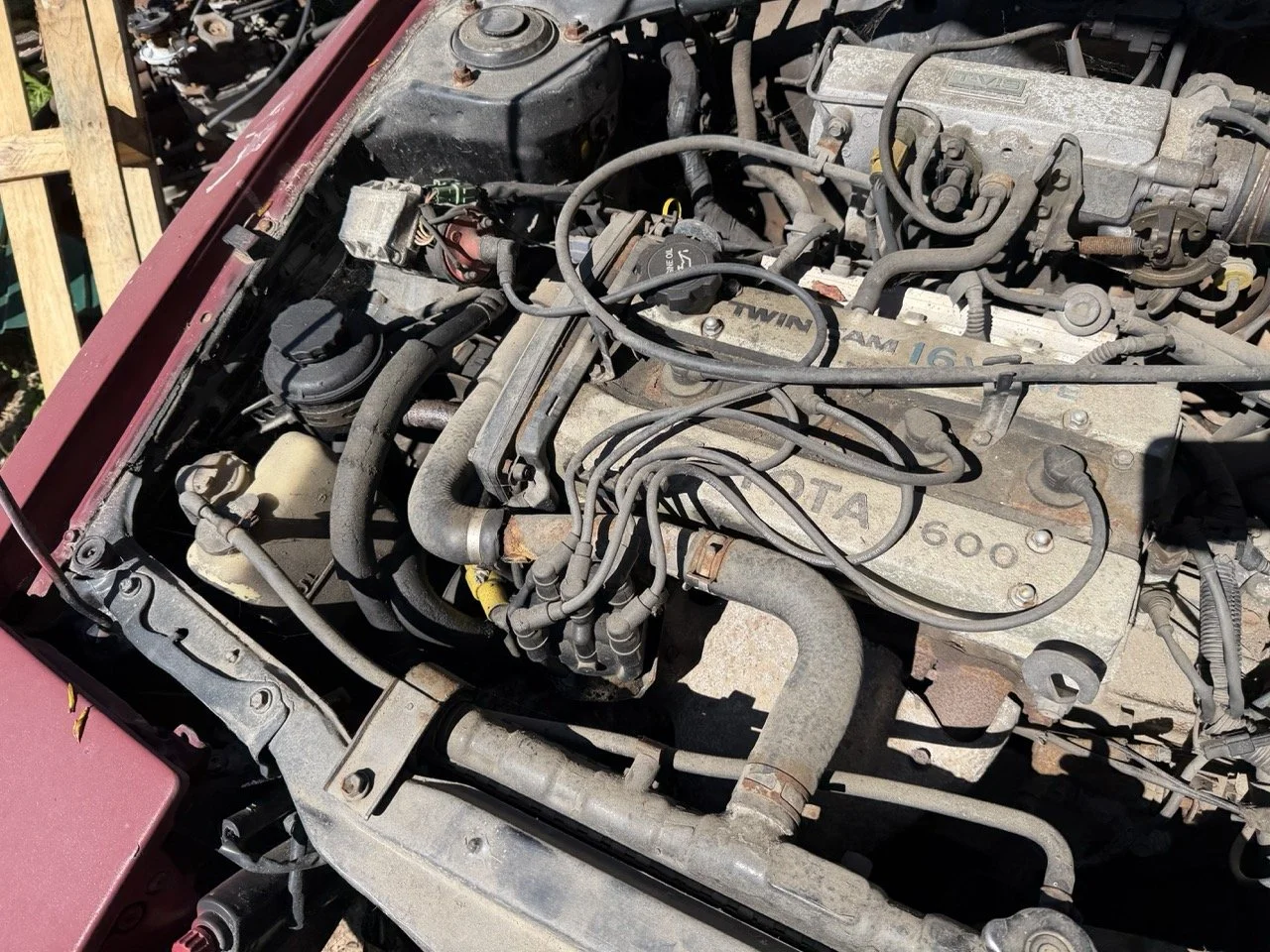 IMG_7623 – grande.jpeg