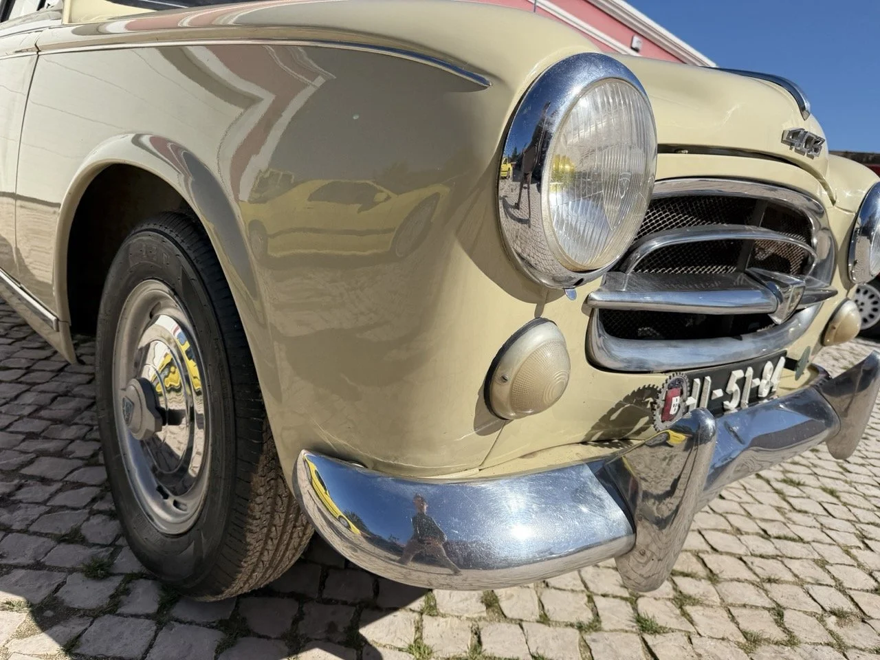 IMG_6746 – grande.jpeg