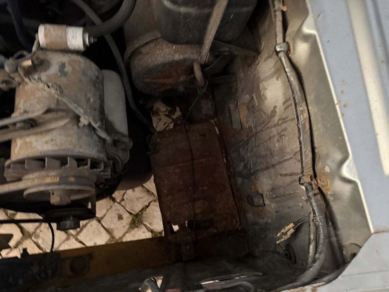 IMG_7518 – grande.jpeg