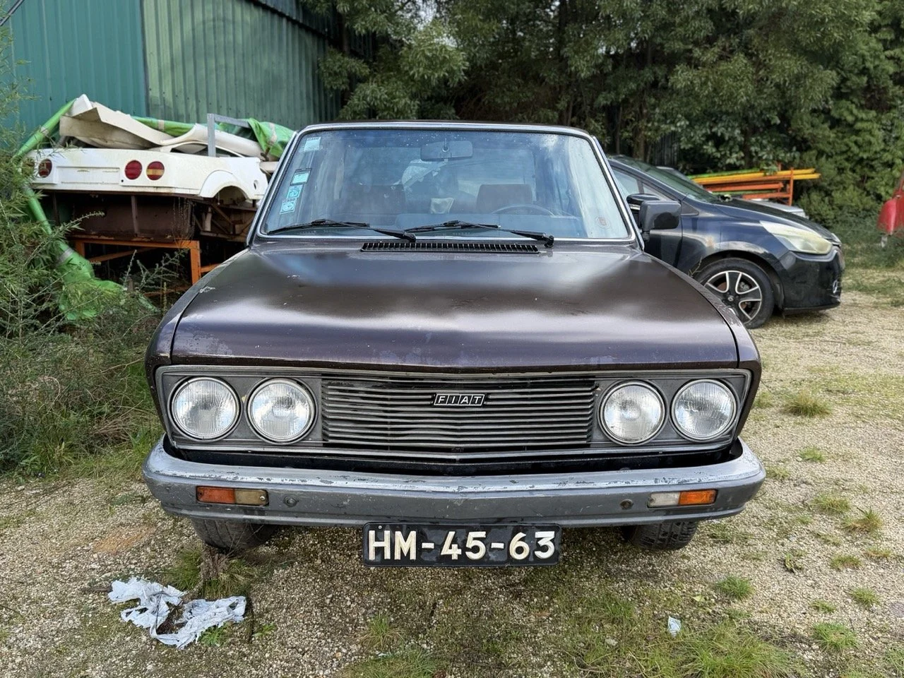 IMG_5241 – grande.jpeg