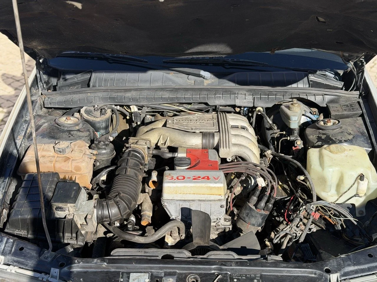 IMG_2747 – grande.jpeg