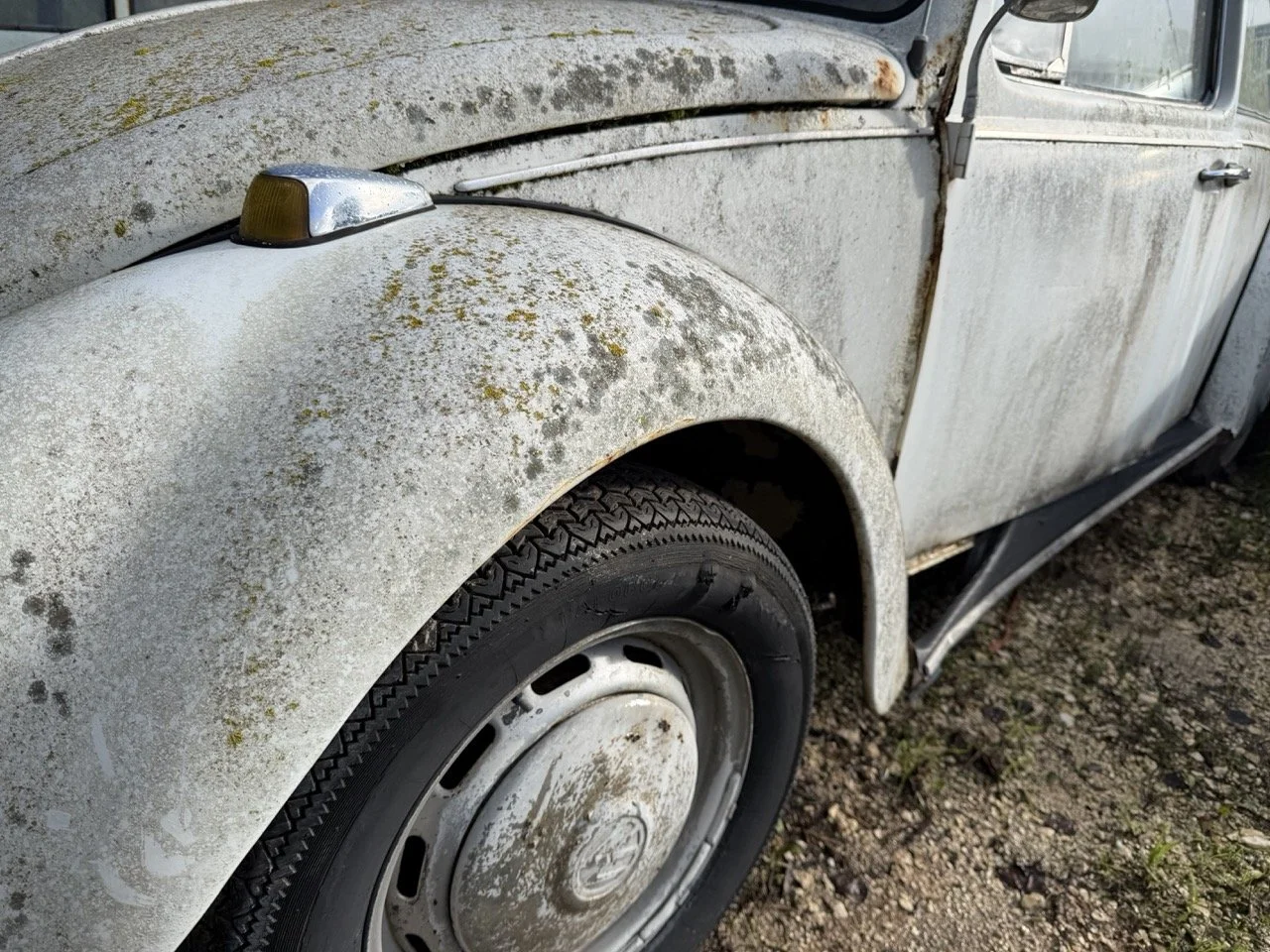 IMG_8590 – grande.jpeg