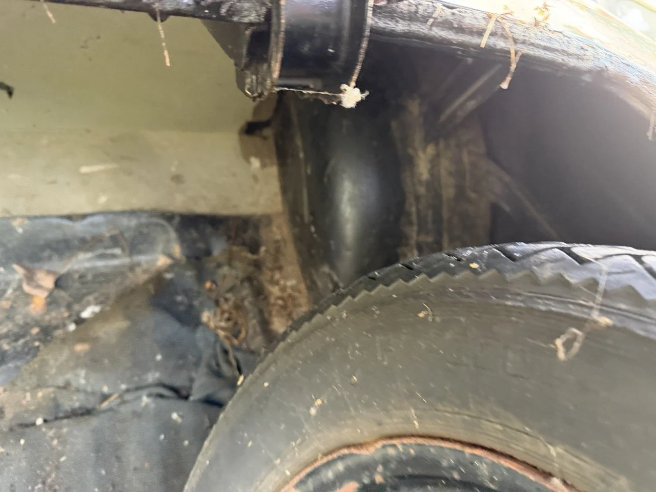 IMG_5053 – grande.jpeg