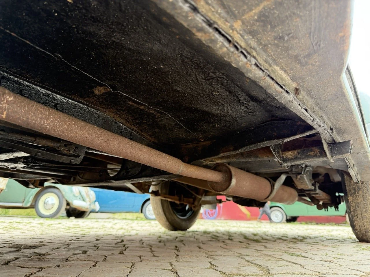 IMG_9887 – grande.jpeg