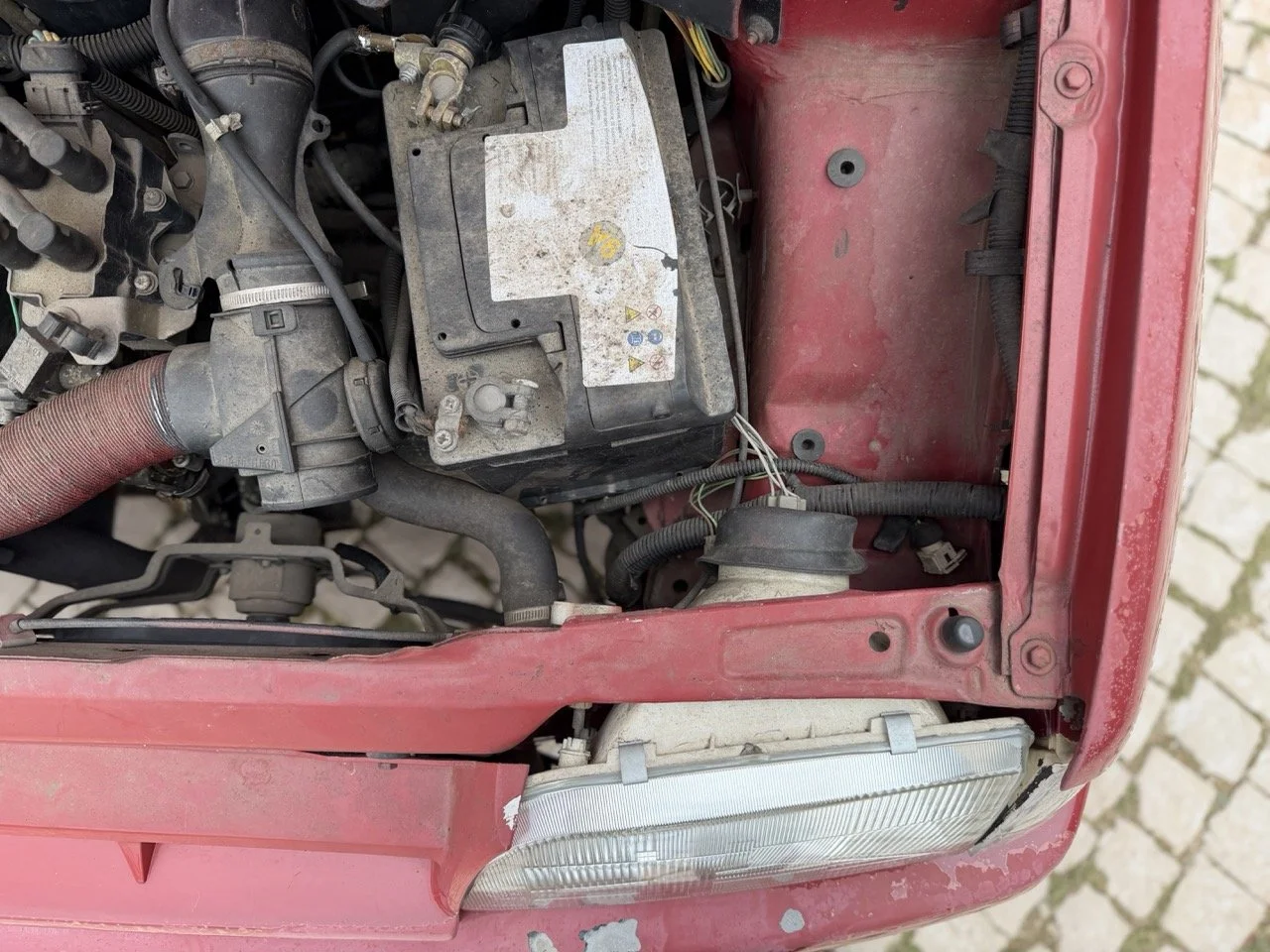 IMG_3601 – grande.jpeg