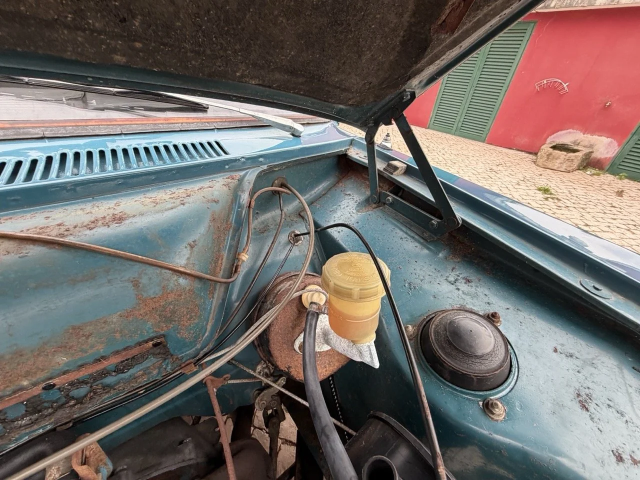 IMG_6300 – grande.jpeg