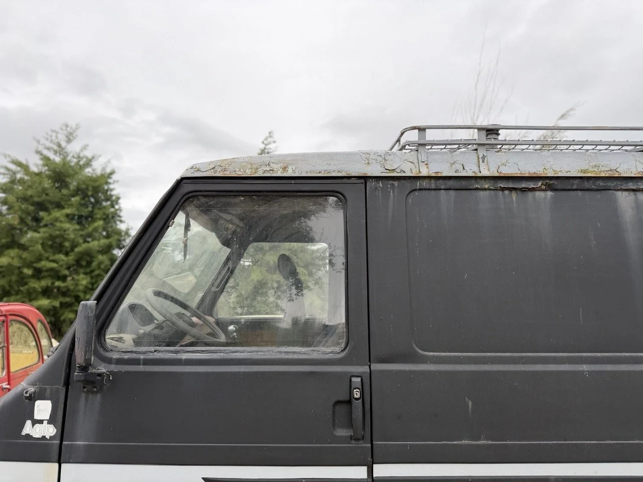 IMG_1312 – grande.jpeg