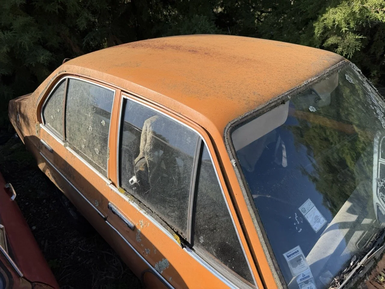 IMG_7726 – grande.jpeg