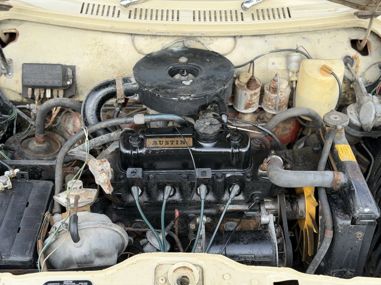 IMG_4065 – grande.jpeg