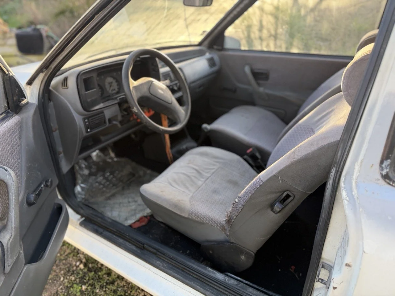 IMG_4096 – grande.jpeg