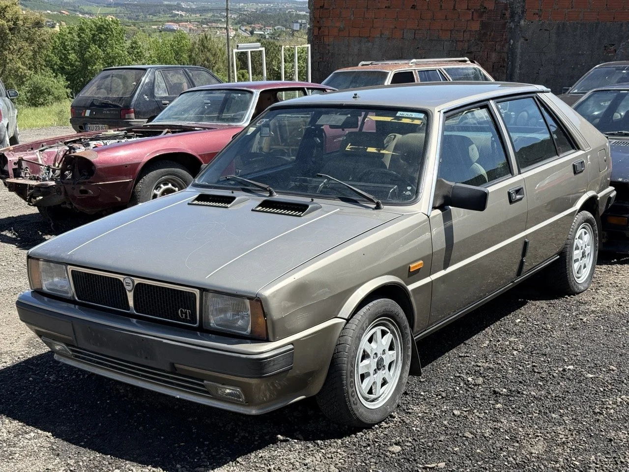 IMG_1871 – grande.jpeg