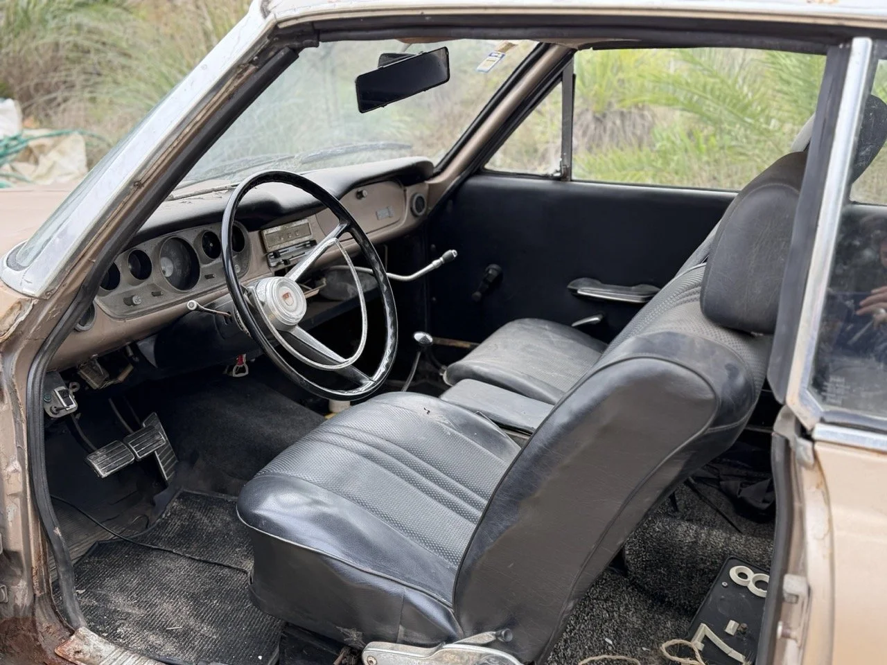 IMG_4911 – grande.jpeg