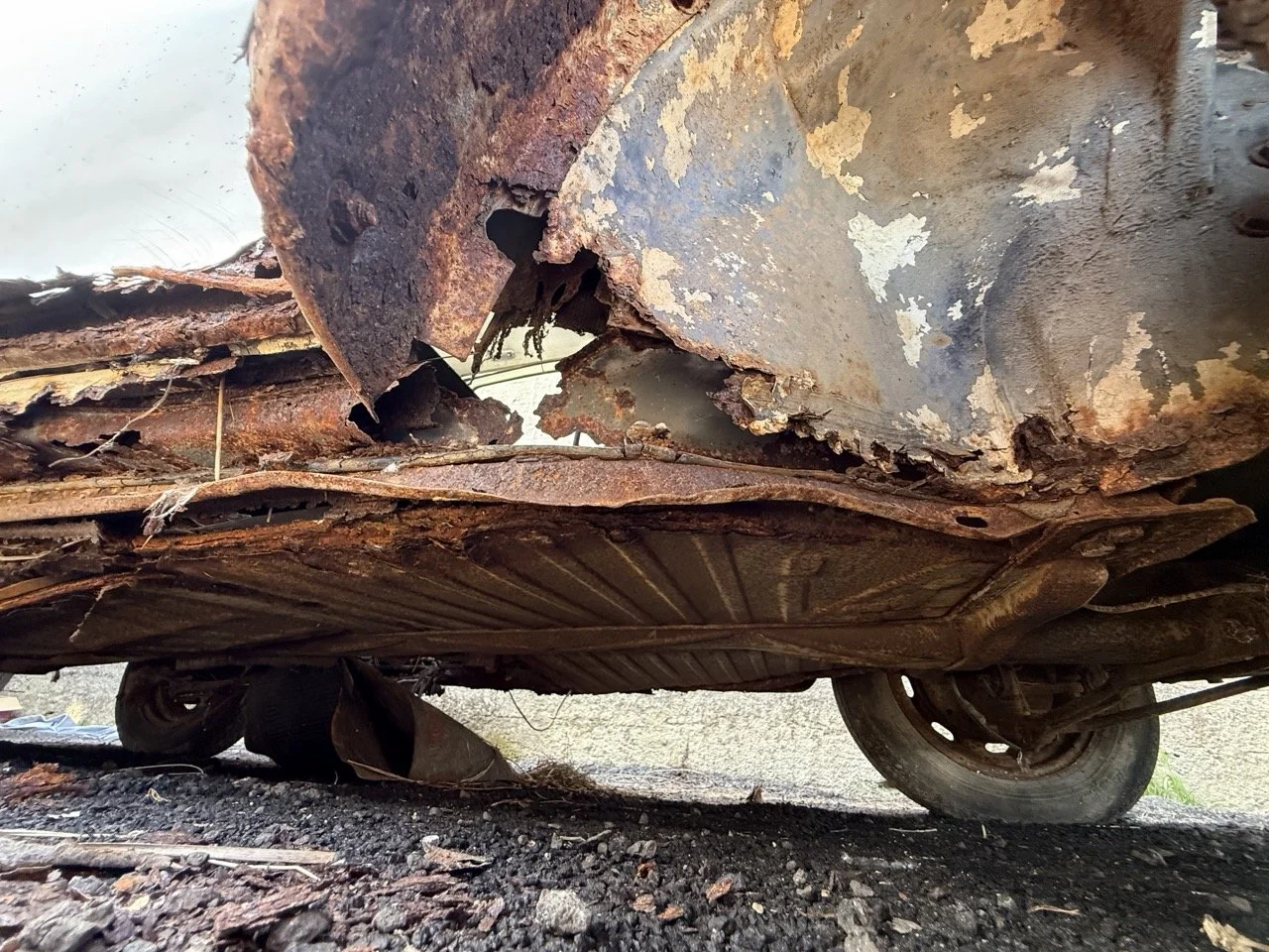 IMG_0655 – grande.jpeg