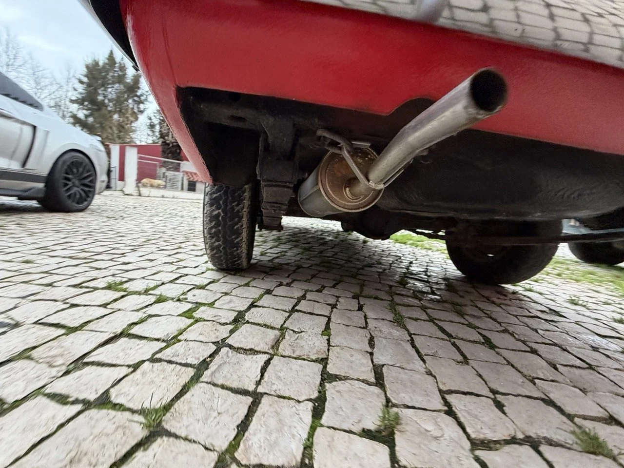 IMG_8305 – grande.jpeg