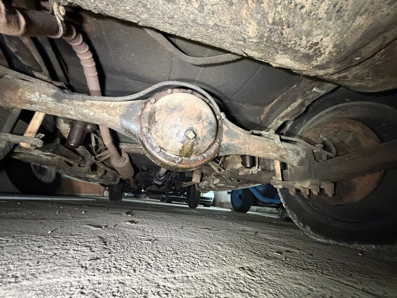 IMG_2501 – grande.jpeg