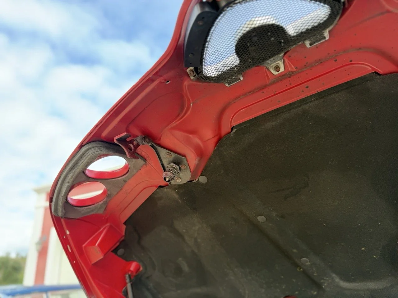 IMG_2267 – grande.jpeg