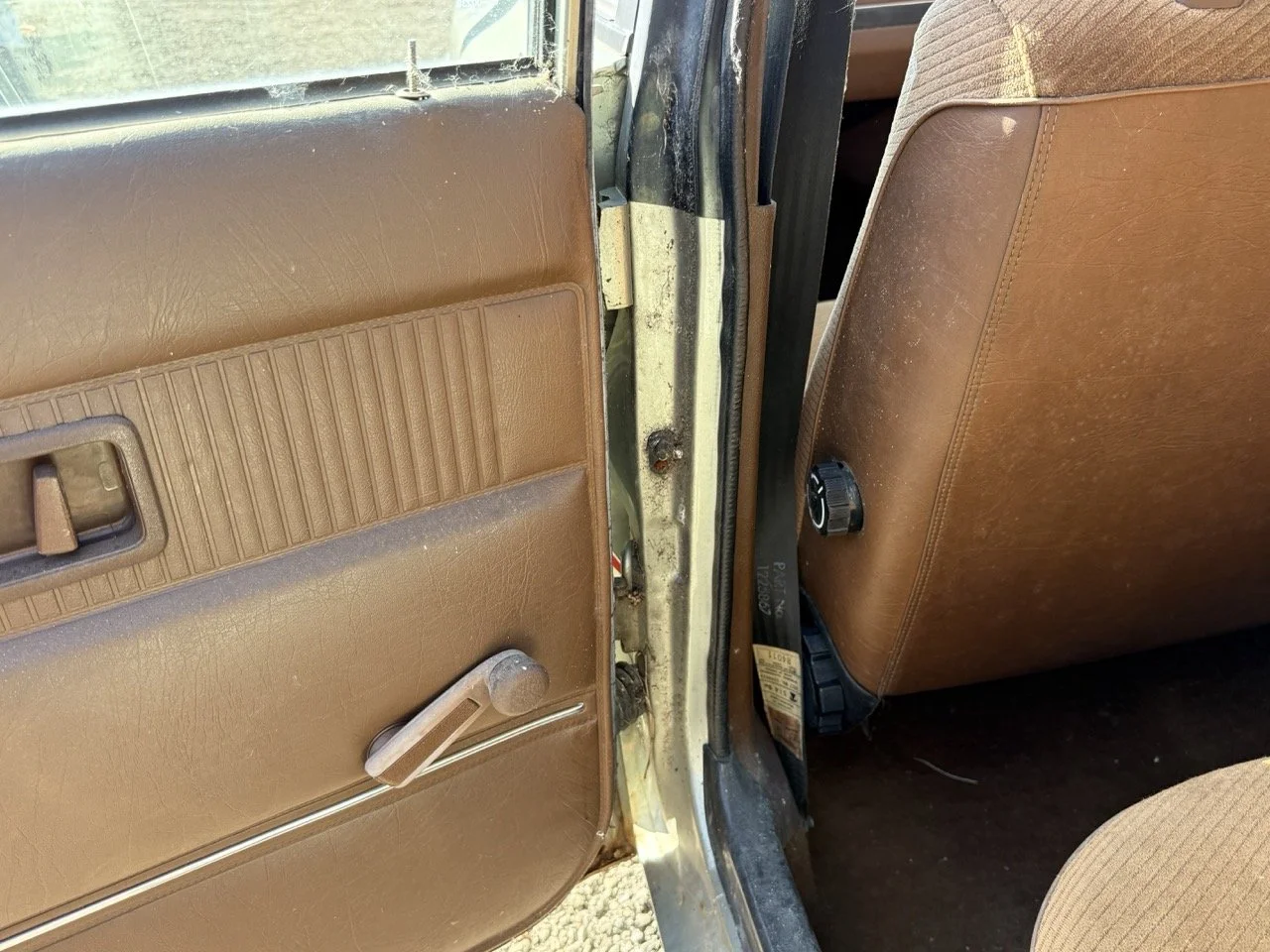 IMG_1182 – grande.jpeg