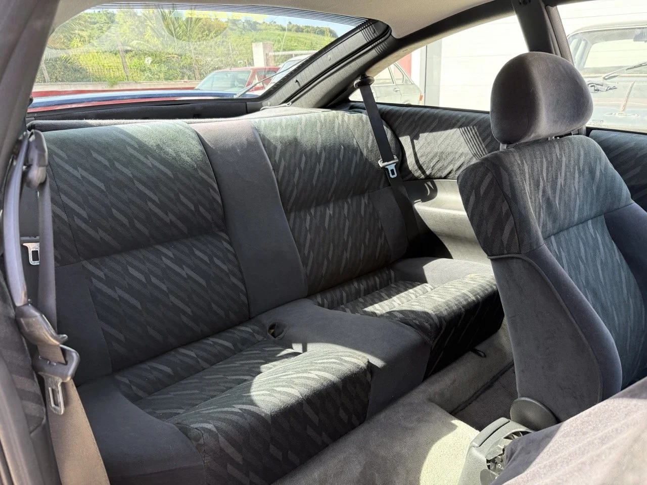 IMG_2409 – grande.jpeg