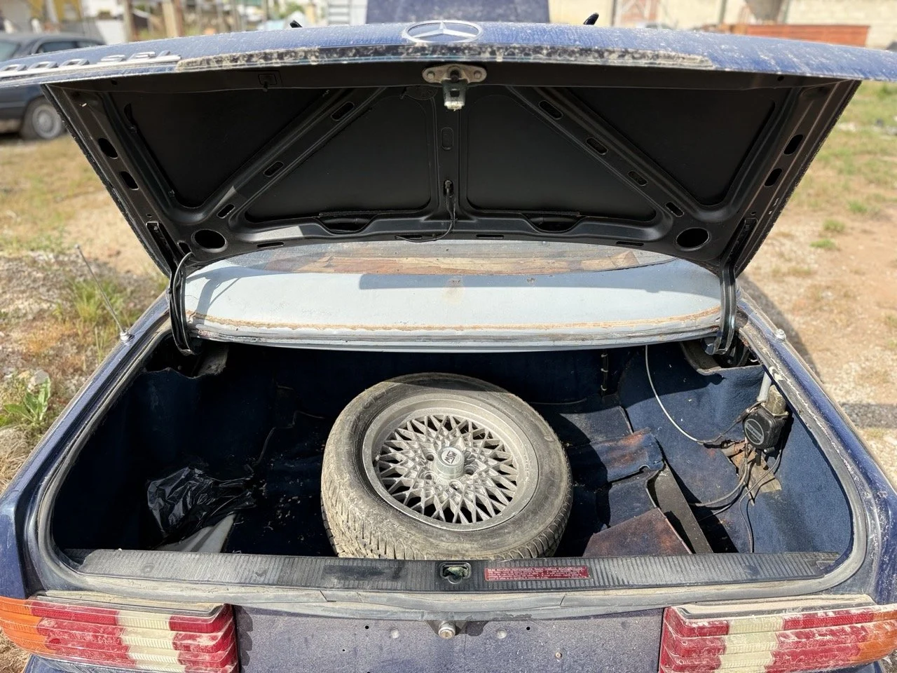 IMG_3391 – grande.jpeg