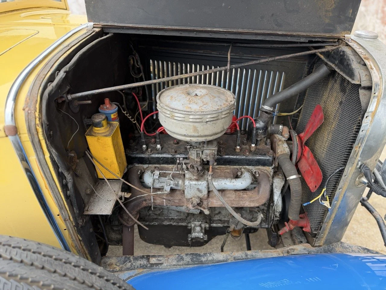 IMG_1539 – grande.jpeg