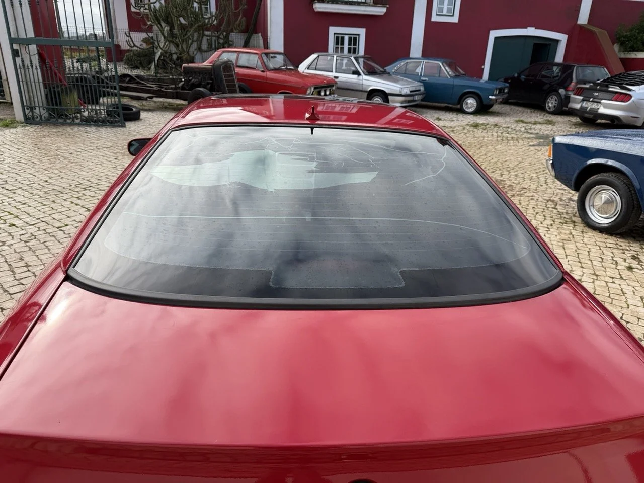 IMG_2308 – grande.jpeg