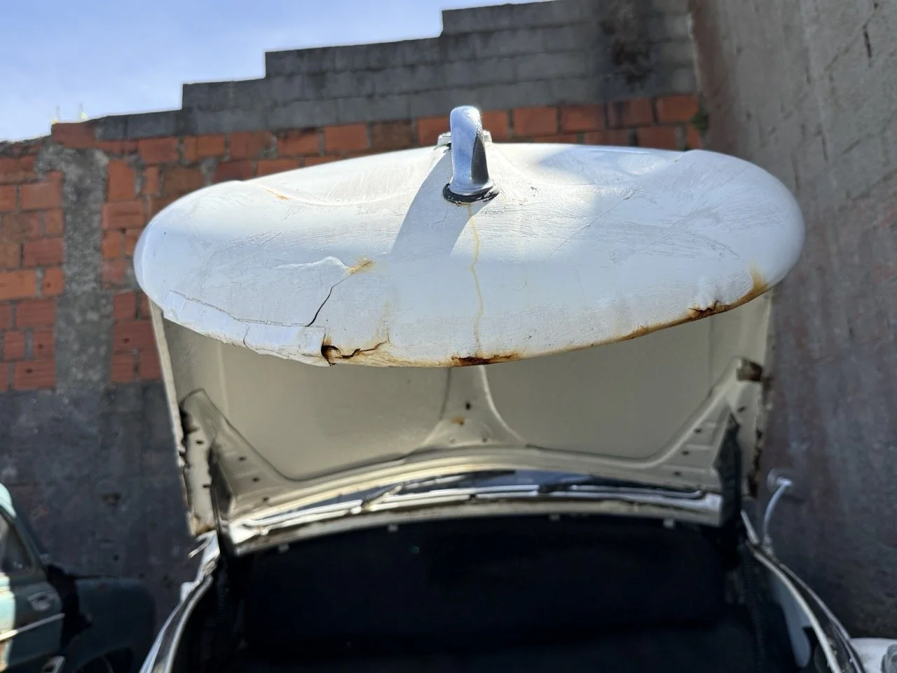 IMG_0708 – grande.jpeg