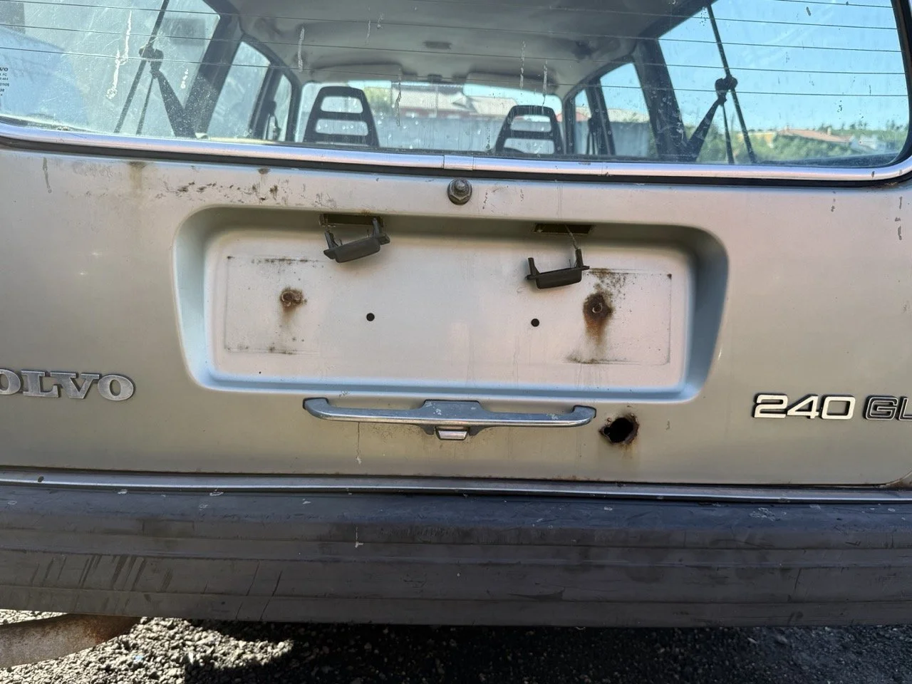 IMG_1189 – grande.jpeg