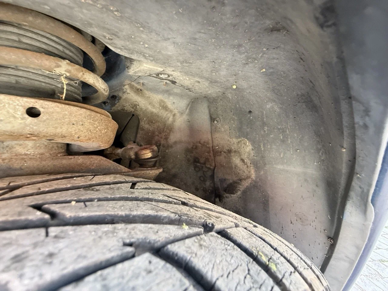 IMG_2496 – grande.jpeg