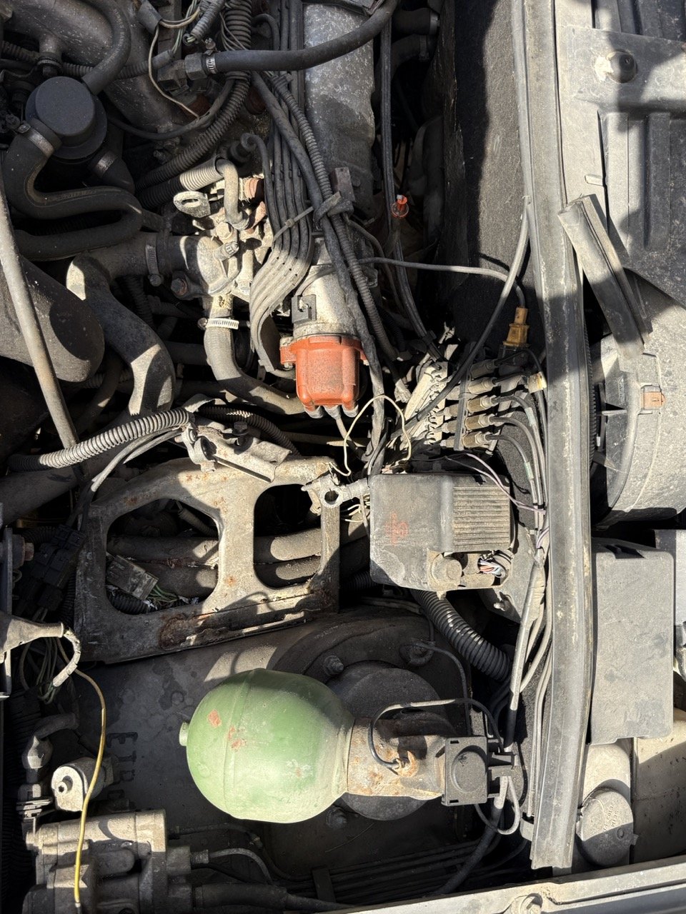 IMG_2553 – grande.jpeg