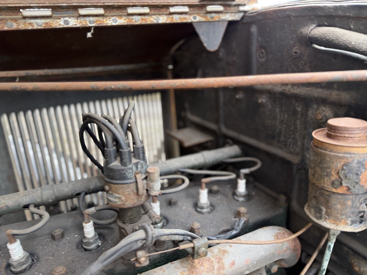 IMG_1703 – grande.jpeg