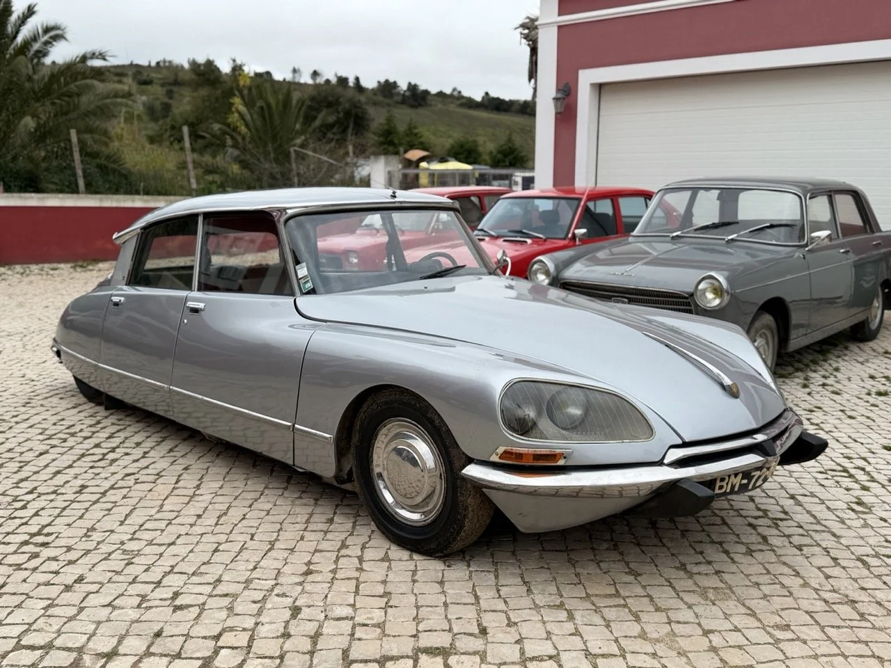 IMG_3663 – grande.jpeg