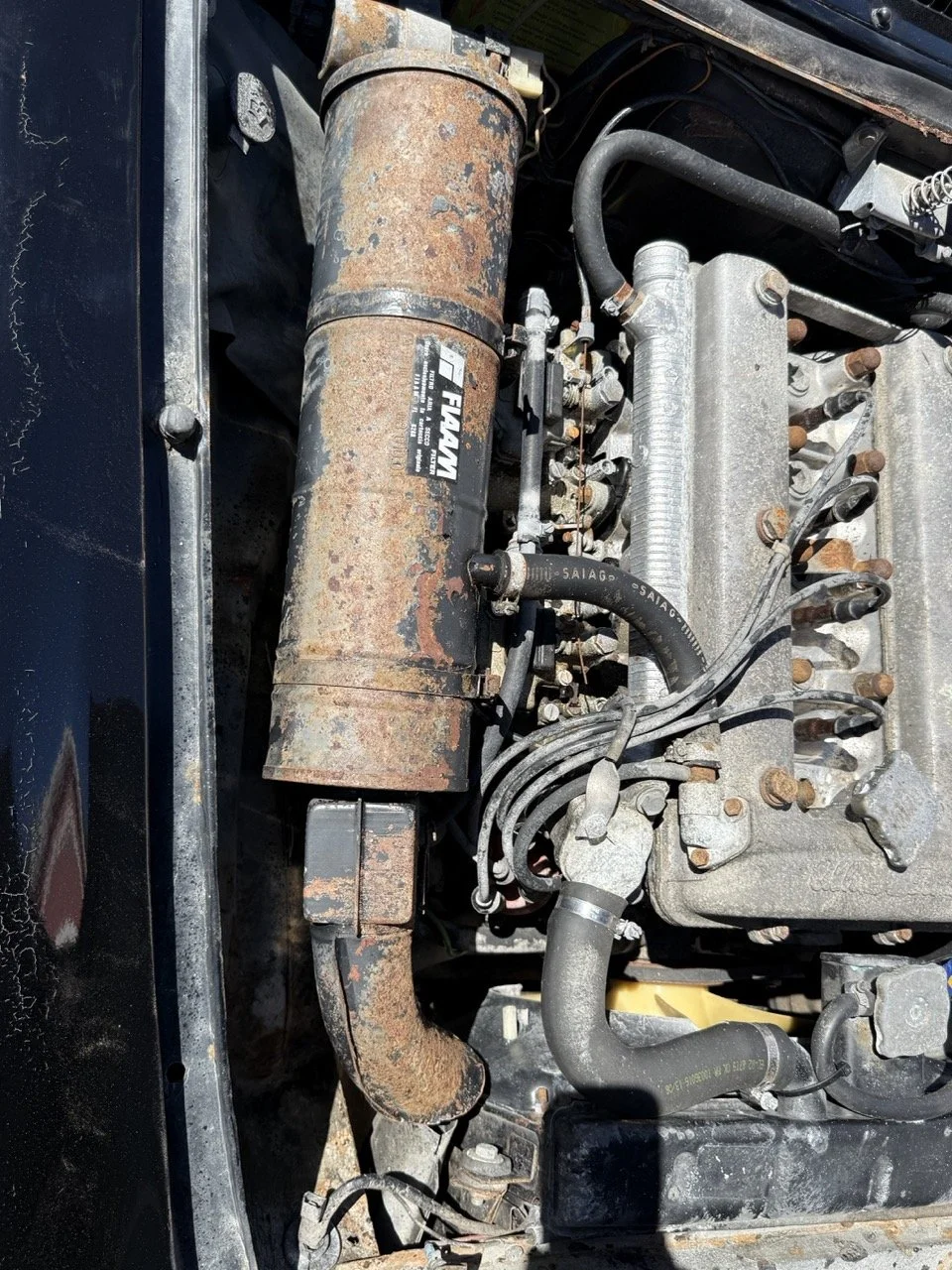 IMG_2220 – grande.jpeg