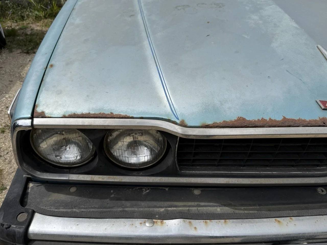 IMG_1559 – grande.jpeg