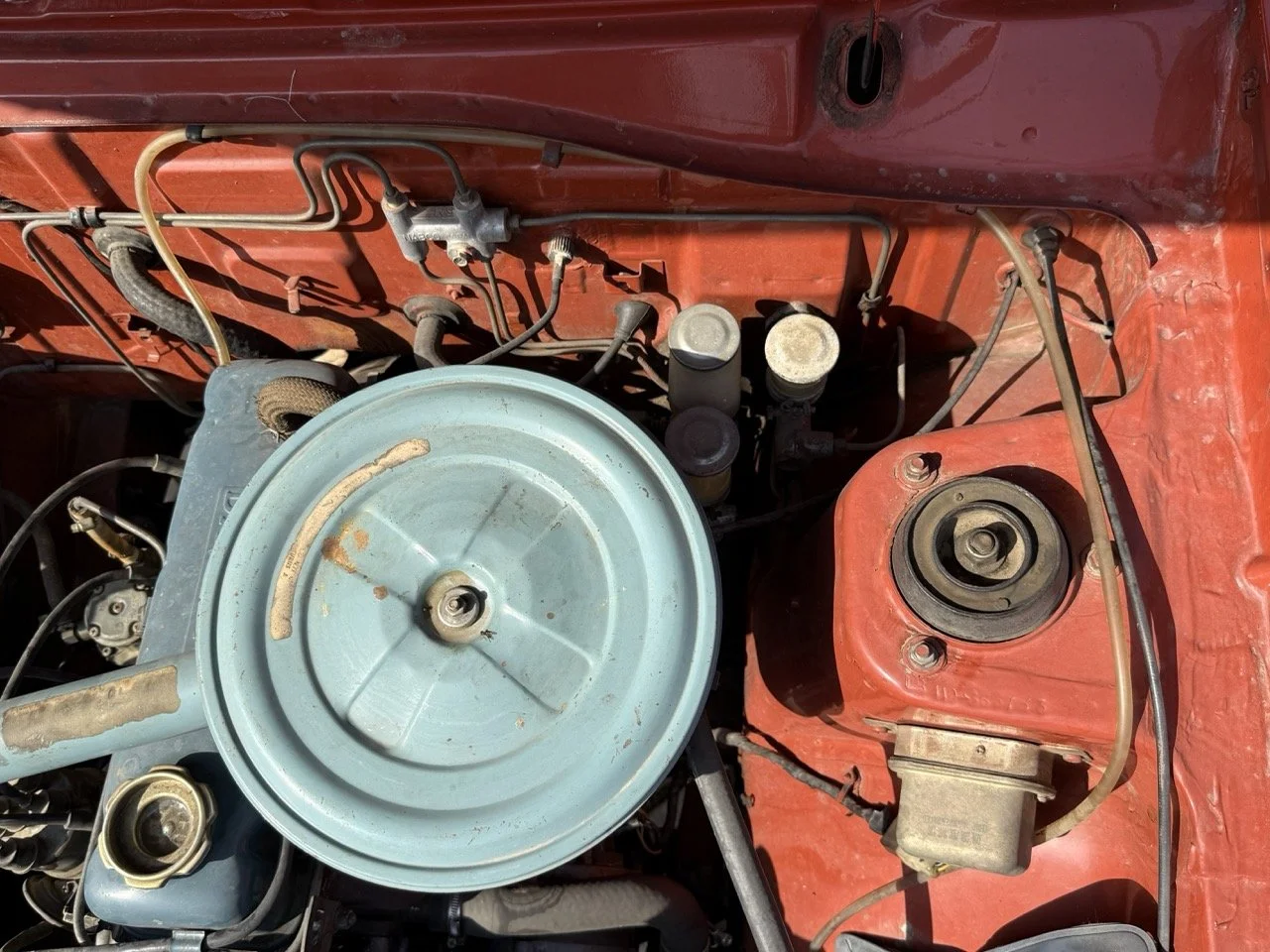 IMG_3616 – grande.jpeg