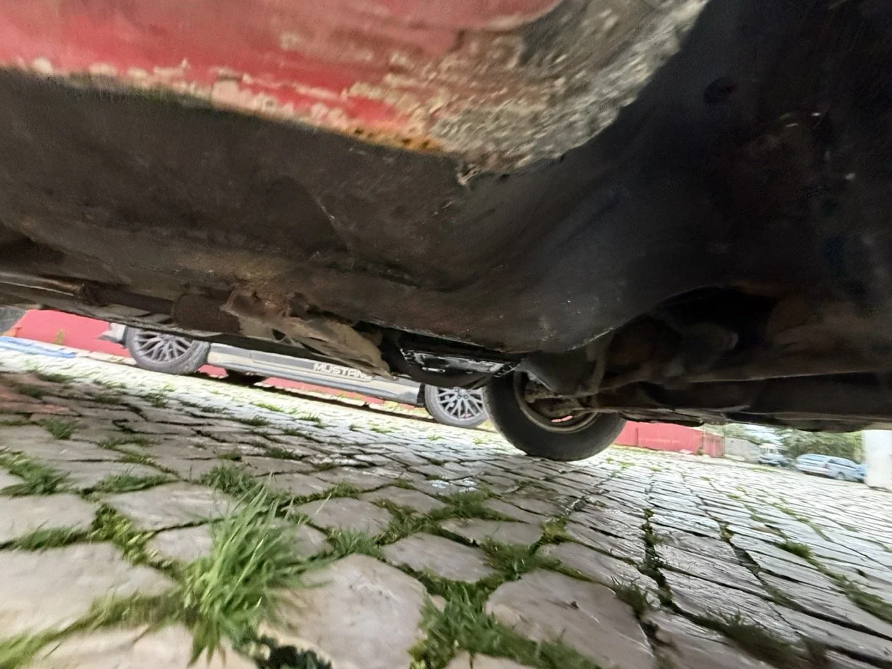 IMG_8296 – grande.jpeg