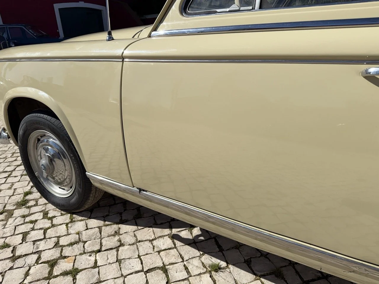 IMG_6719 – grande.jpeg