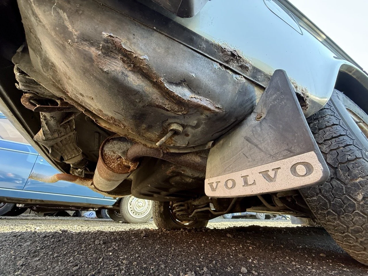 IMG_1229 – grande.jpeg