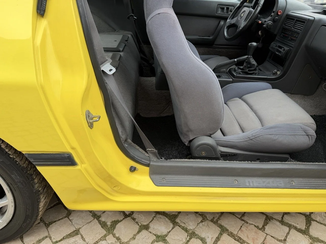 IMG_9738 – grande.jpeg