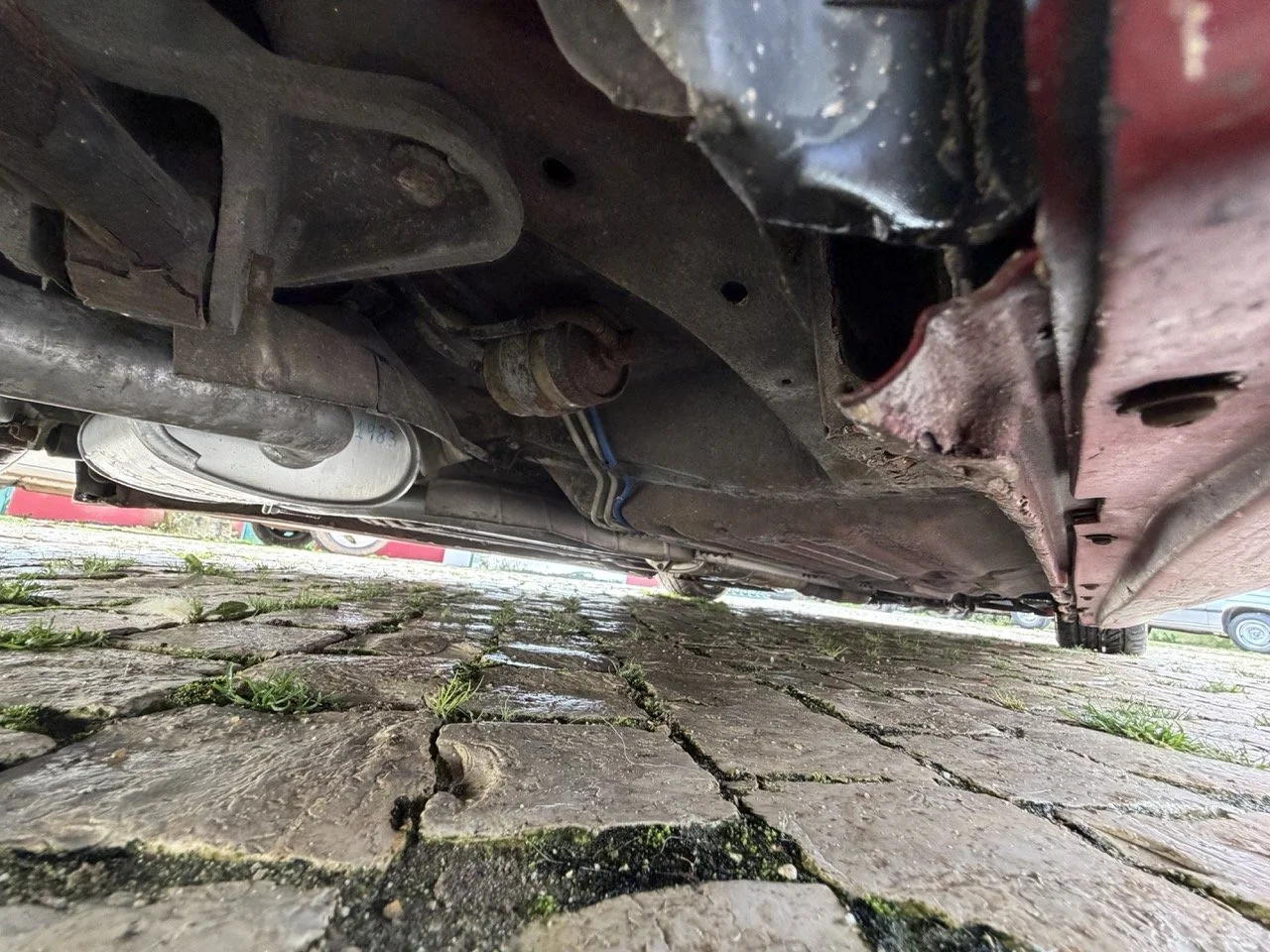 IMG_2321 – grande.jpeg