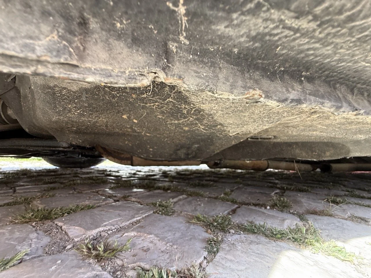 IMG_2619 – grande.jpeg